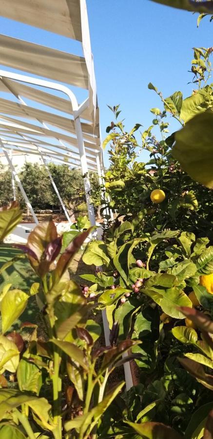 Locazione Turistica Le Fate Hotel Agrigento Kültér fotó